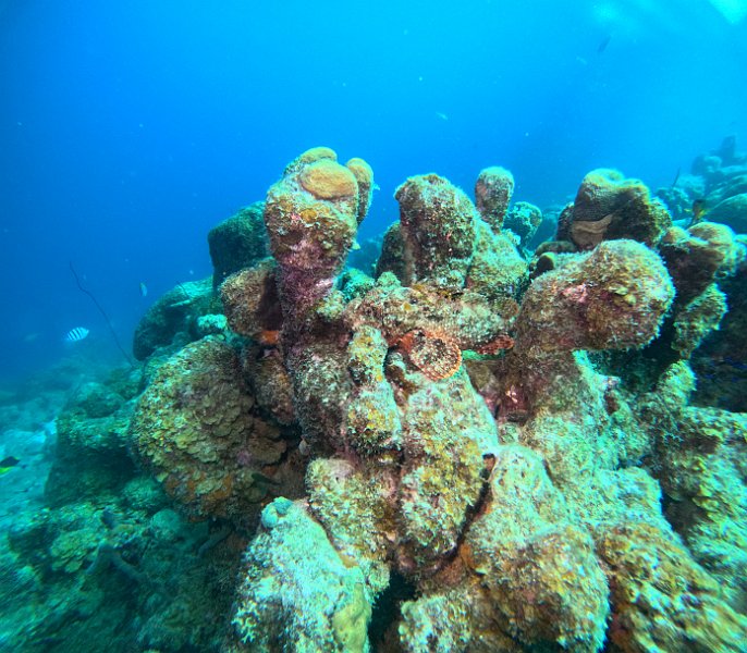 GOPR0079