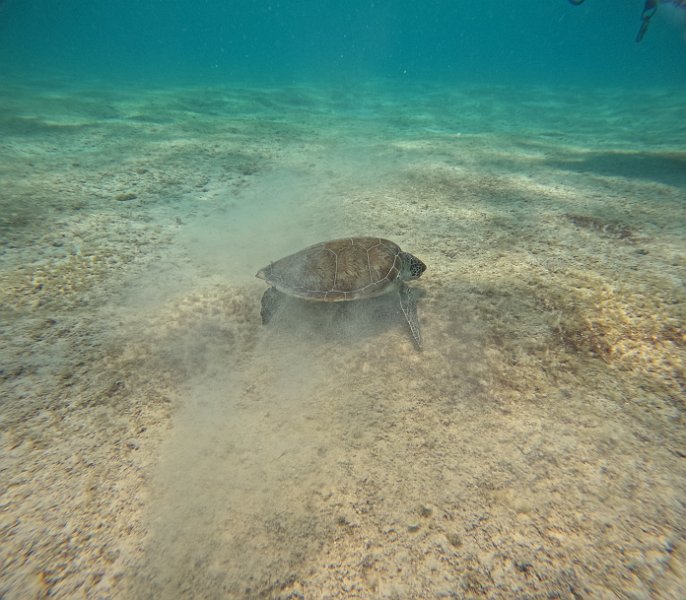 GOPR0092