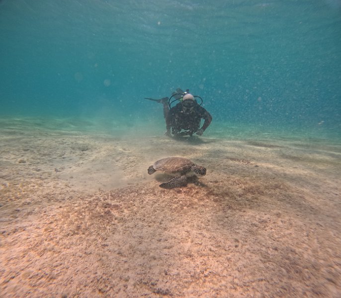 GOPR0094