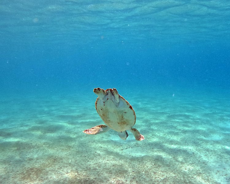 GOPR0104