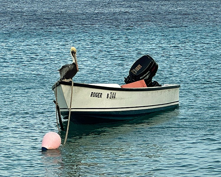 IMG 3350