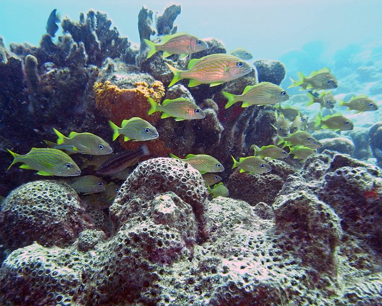 M0013120