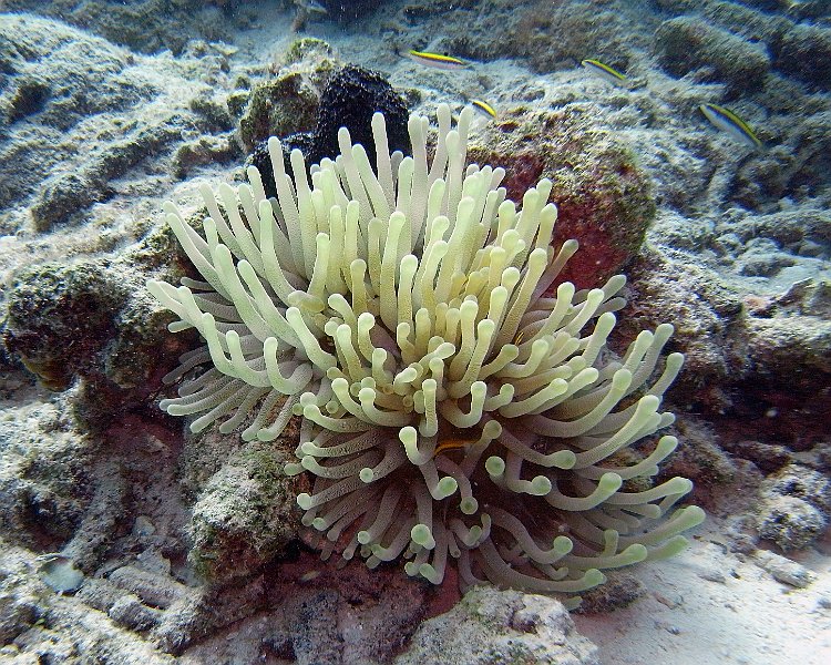 M0013122