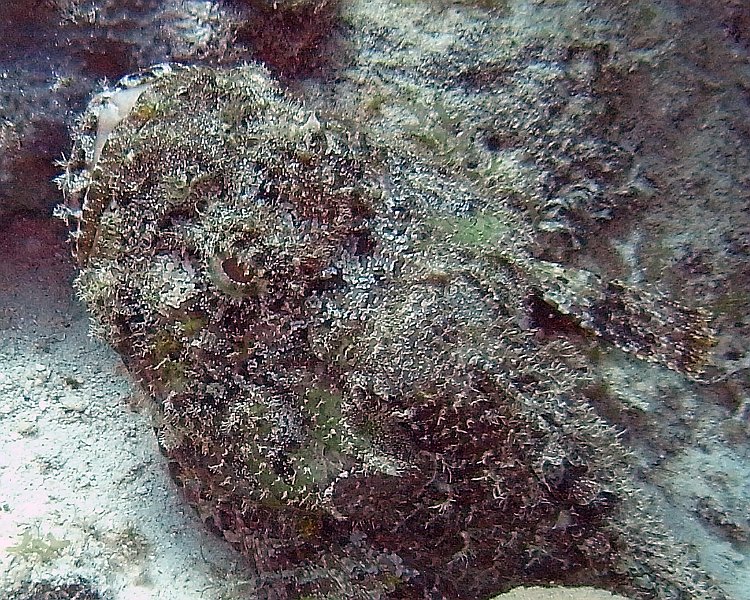 M0013129