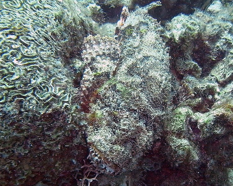 M0013130