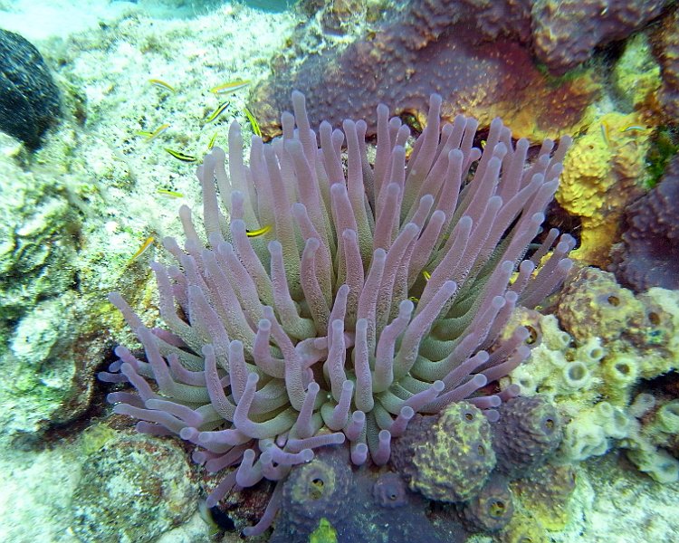 M0013133