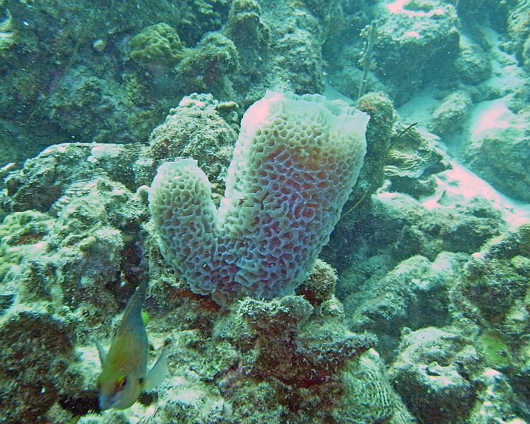 M0013138