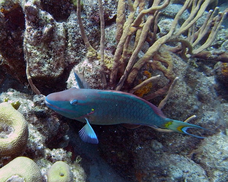 M0013140