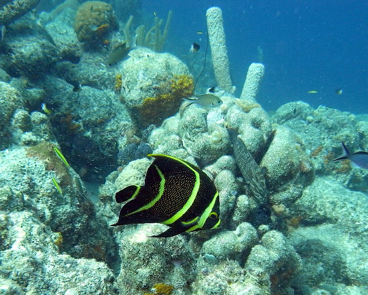 M0013144