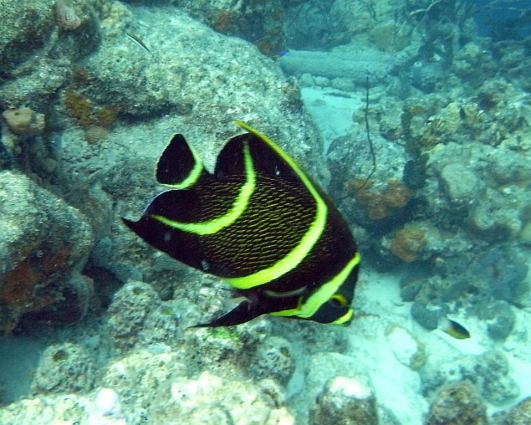 M0013145