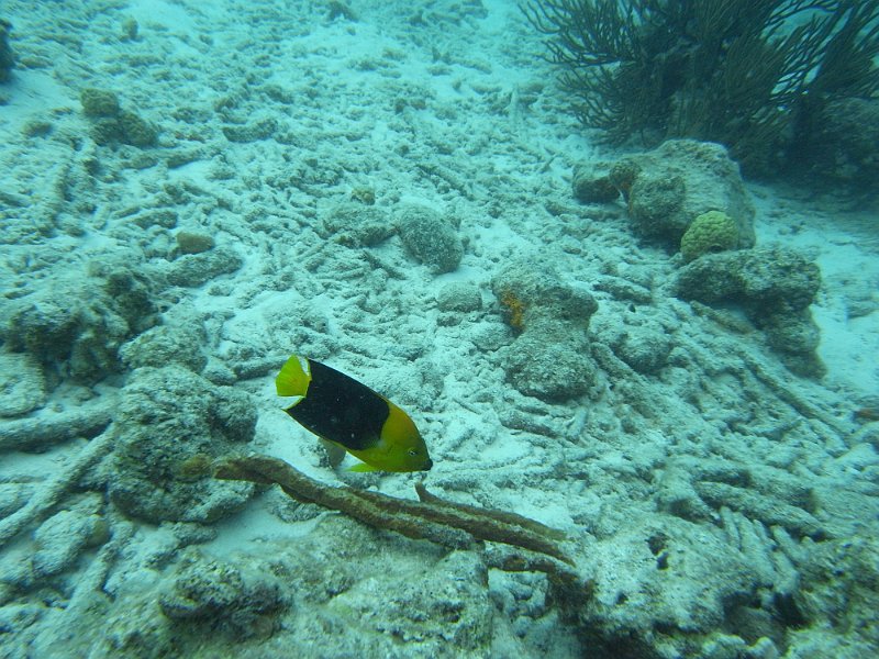 M0013156