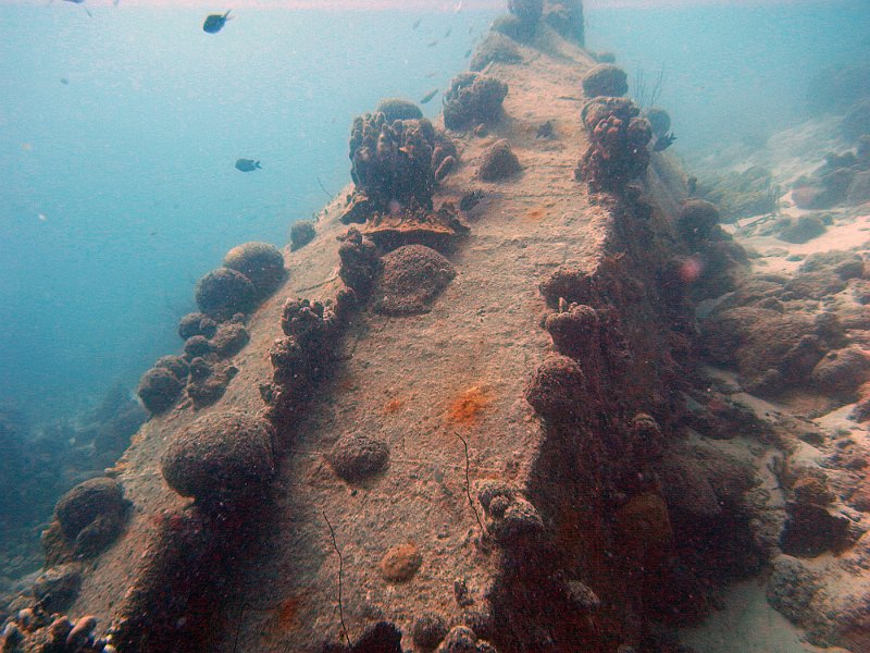 M0013161