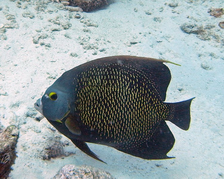 M0013167