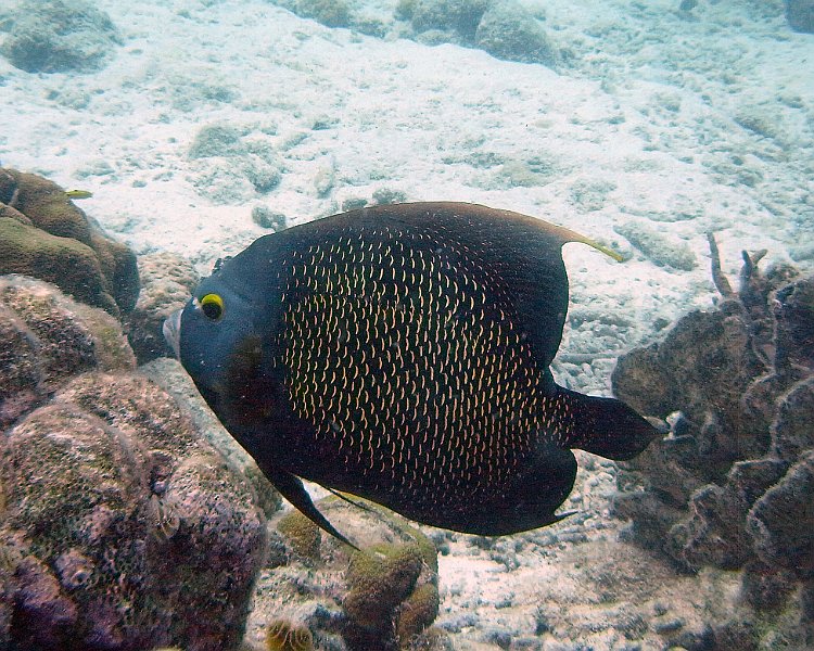 M0013169