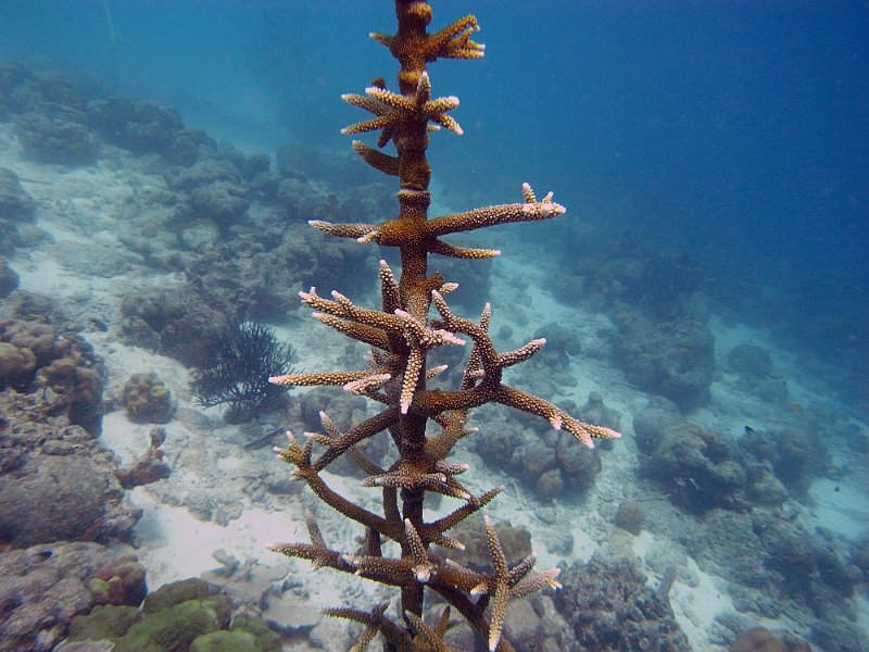 M0013171