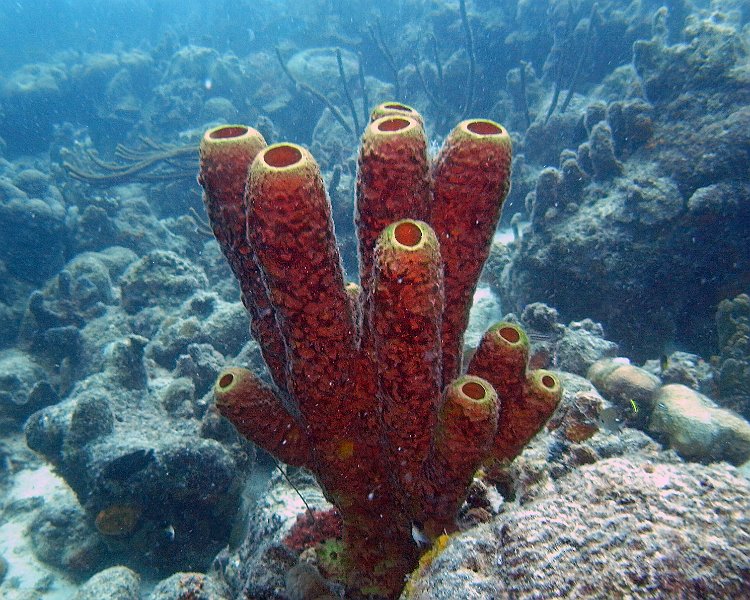M0013178