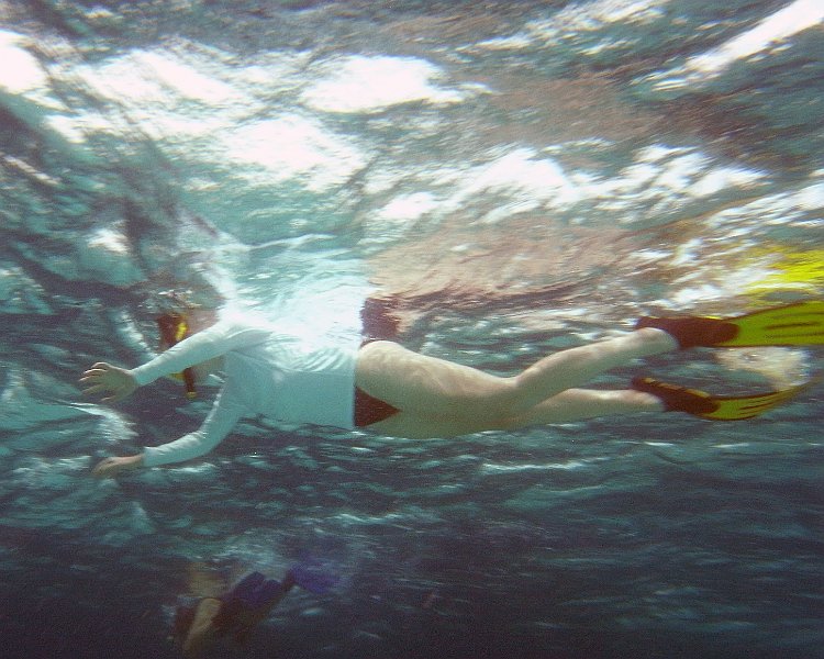 M0013181