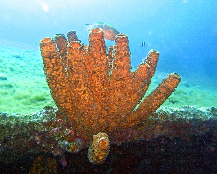 M0013190