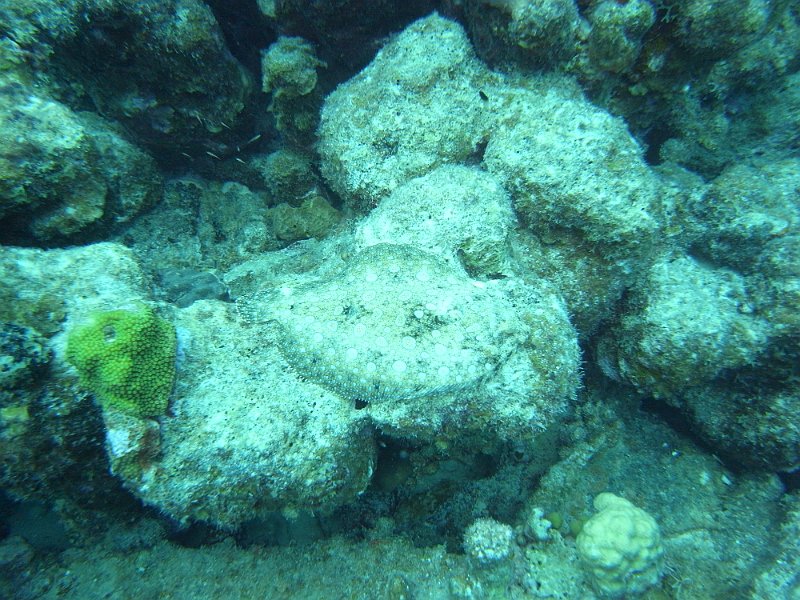 M0013203