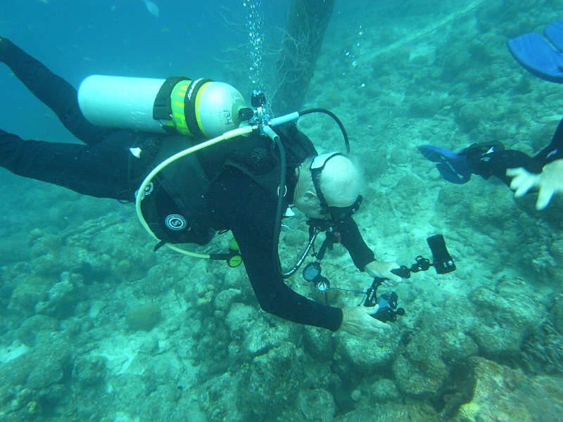 M0013204