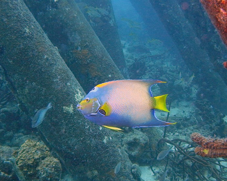 M0013205