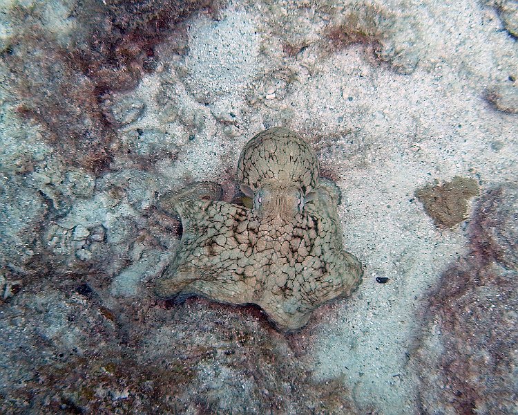 M0013213