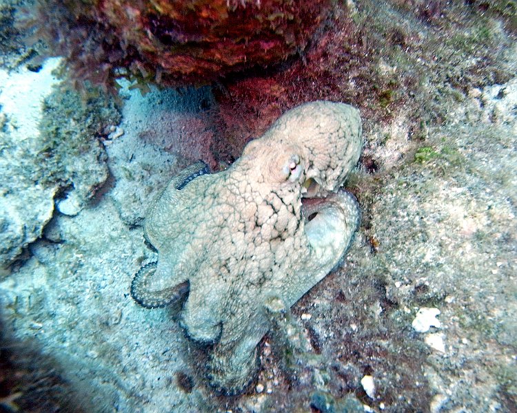 M0013218