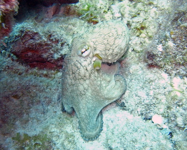 M0013220