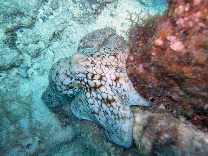 M0013221