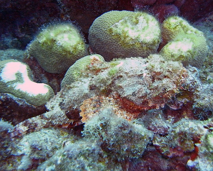 M0013222