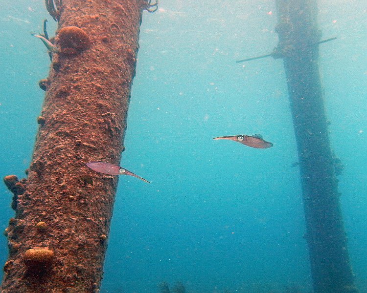 M0013227
