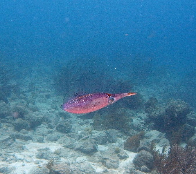 M0013230