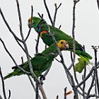 DSC02765
