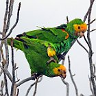 DSC02780