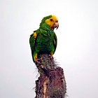 DSC02787