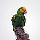 DSC02788