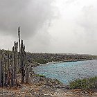 DSC02791