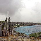 DSC02792