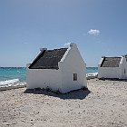 DSC02830