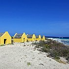 DSC02846