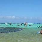 DSC02847