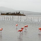 DSC02861