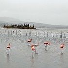 DSC02862
