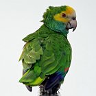 DSC02879