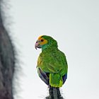 DSC02881