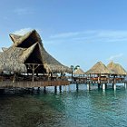 IMG 3337