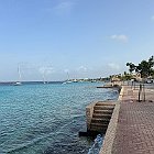 IMG 3338