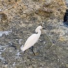 IMG 3348