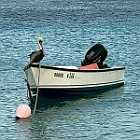 IMG 3350