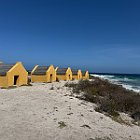 IMG 3386